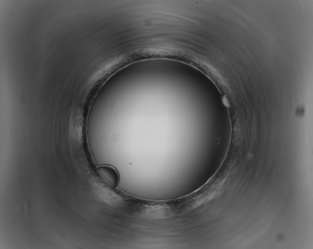 X0000102220446200807251214