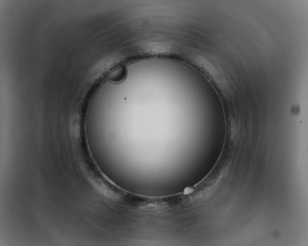 X0000102220447200807251214