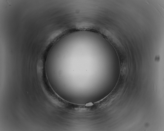 X0000102220448200807251215