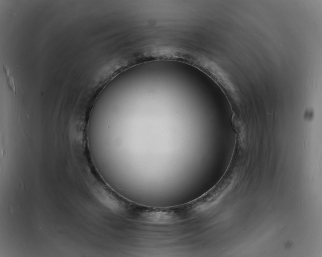 X0000102220449200807251215