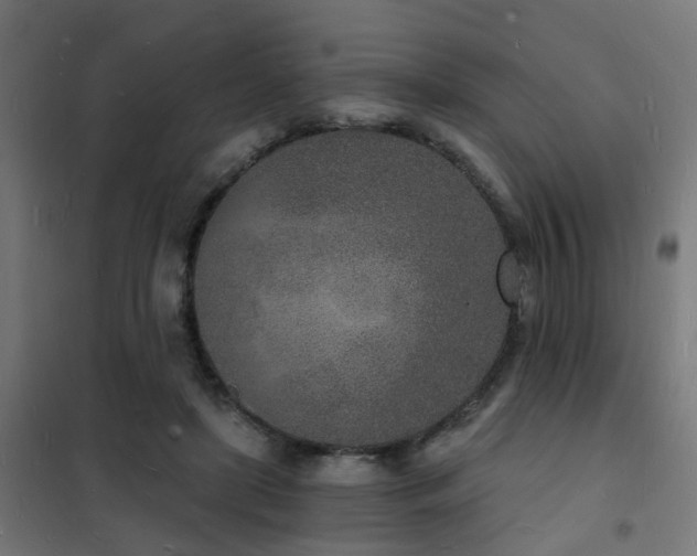 X0000102220451200807251215