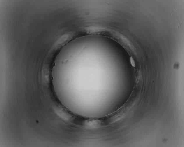 X0000102220452200807251215