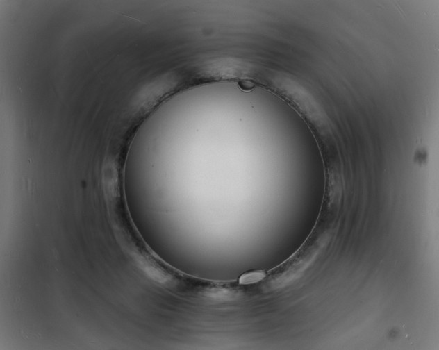 X0000102220453200807251215