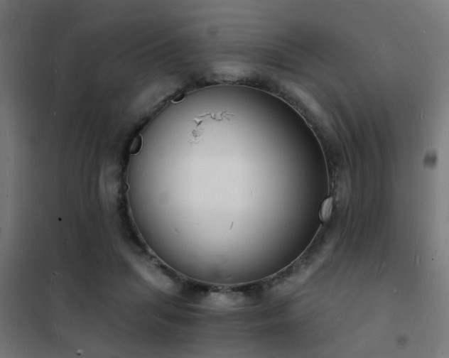 X0000102220455200807251215