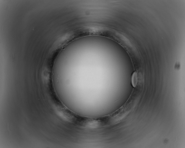 X0000102220456200807251215