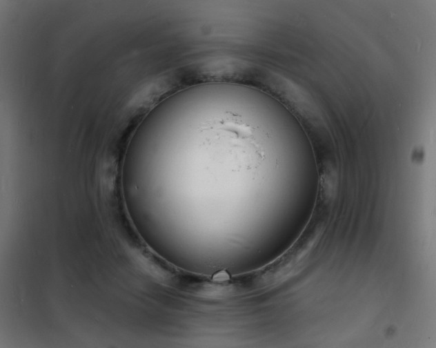 X0000102220458200807251215