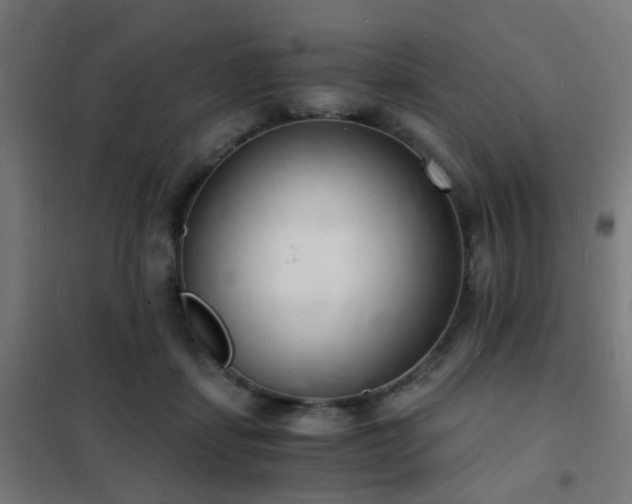 X0000102220459200807251215