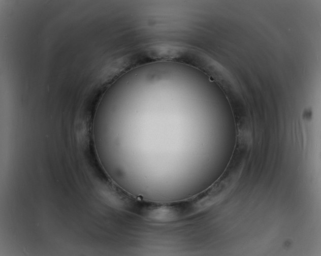 X0000102220460200807251215