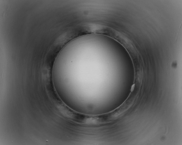 X0000102220461200807251215