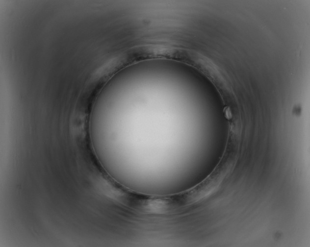 X0000102220462200807251215