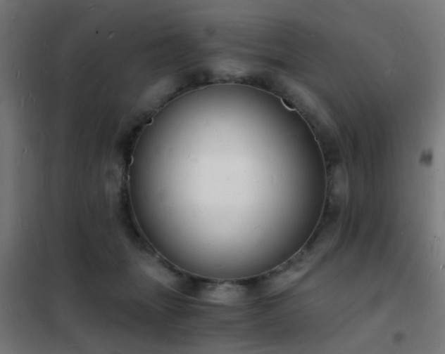 X0000102220463200807251215