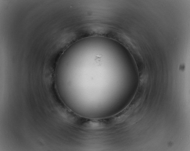 X0000102220464200807251215