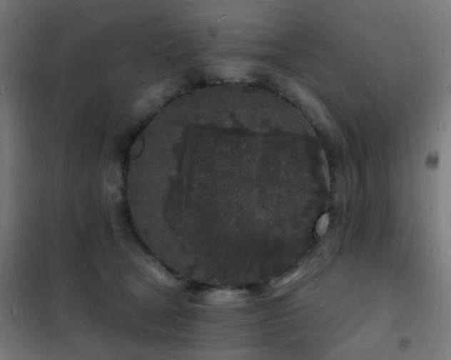 X0000102220465200807251215