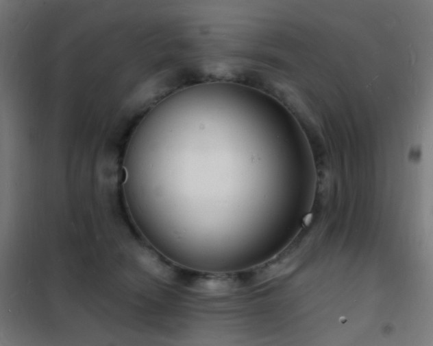 X0000102220466200807251215