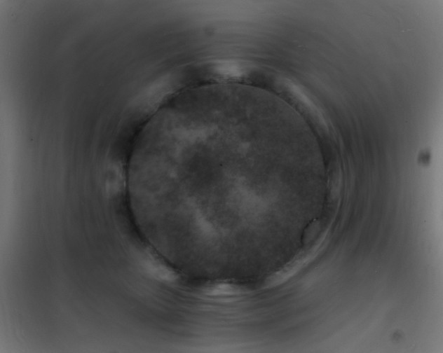 X0000102220467200807251215