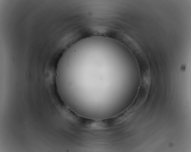 X0000102220468200807251215