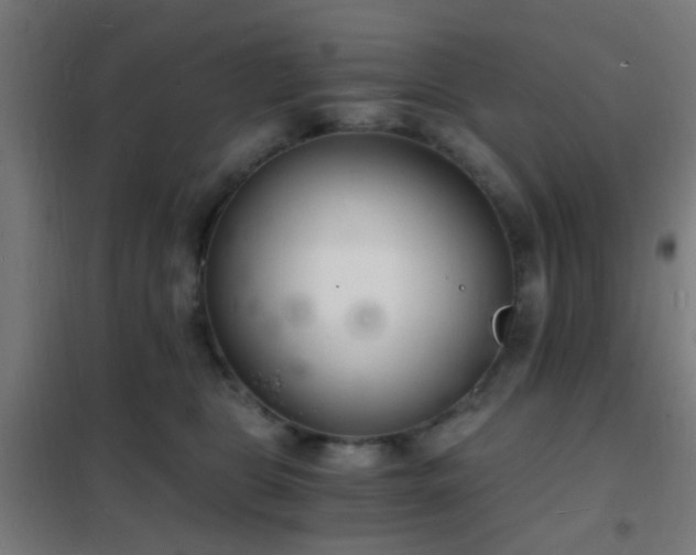 X0000102220469200807251215