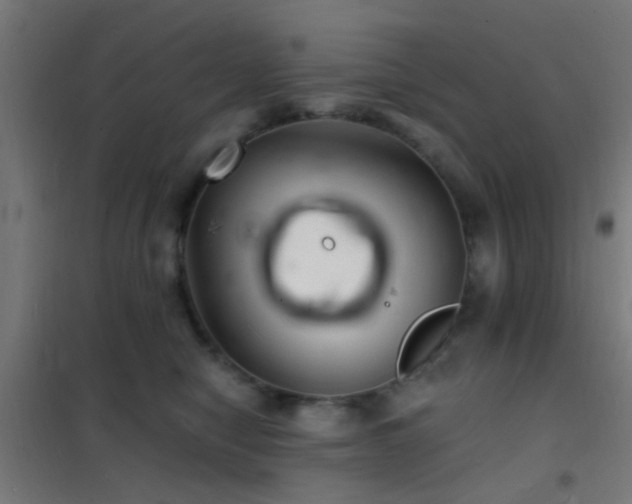 X0000102220470200807251215