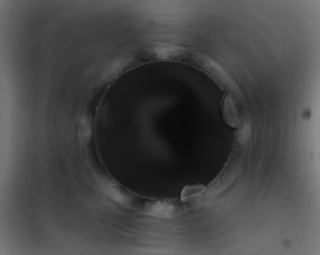 X0000102220471200807251215