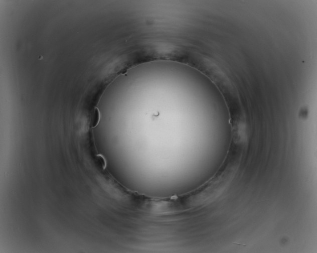 X0000102220472200807251215