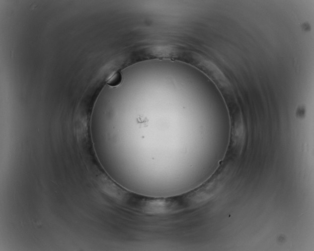 X0000102220473200807251215