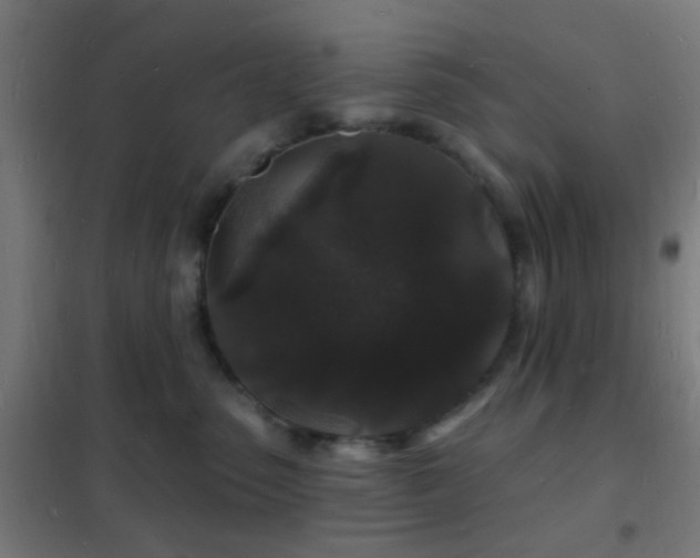 X0000102220475200807251215