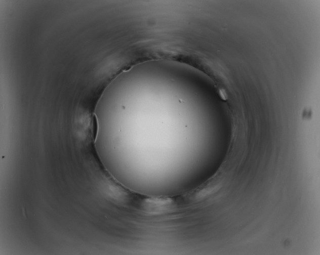 X0000102220480200807251215