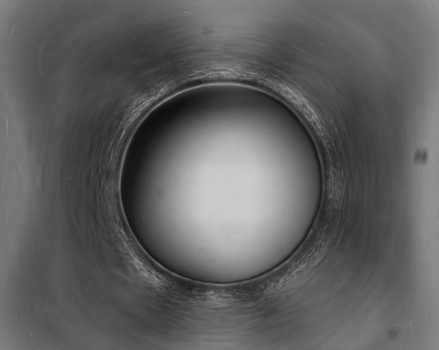 X0000102220481200807251214