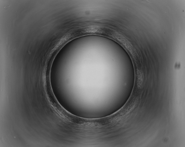 X0000102220482200807251214