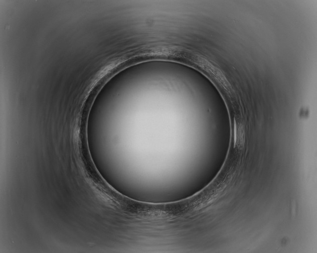 X0000102220483200807251214