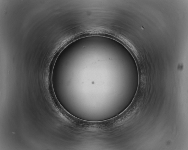 X0000102220485200807251214