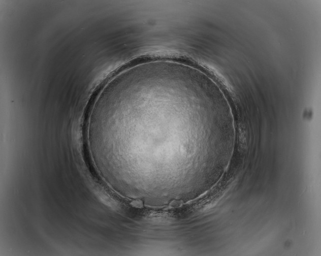 X0000102220487200807251214