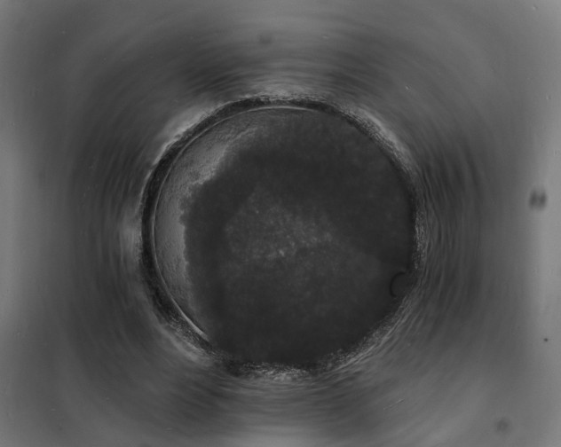 X0000102220488200807251214