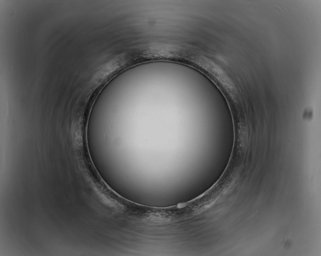 X0000102220489200807251214