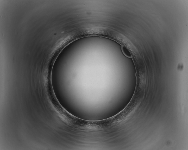 X0000102220490200807251214