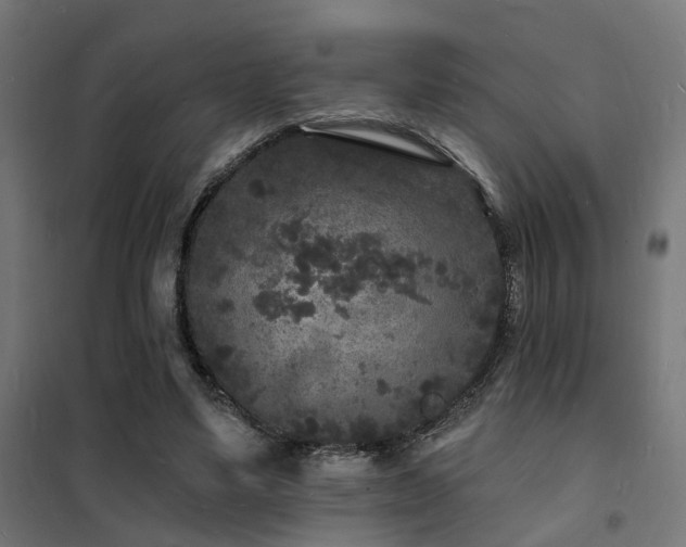 X0000102220491200807251214