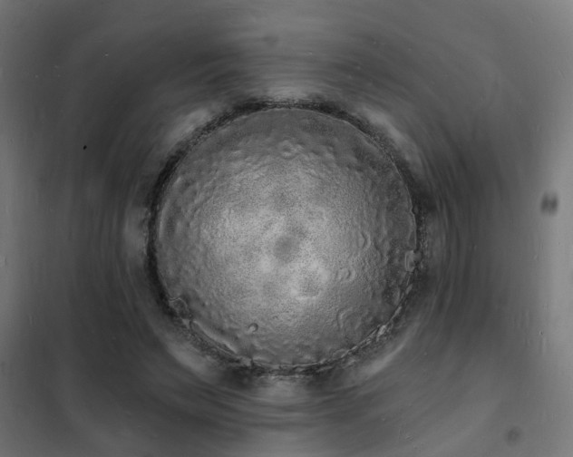 X0000102220495200807251214