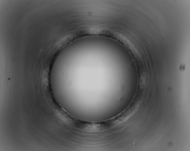 X0000102220497200807251214