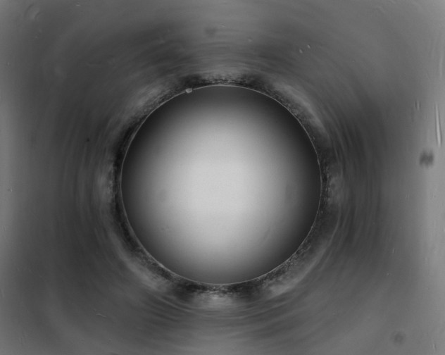 X0000102220498200807251214