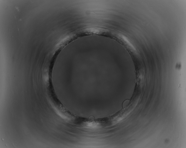 X0000102220500200807251214