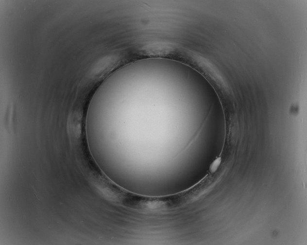 X0000102220501200807251214