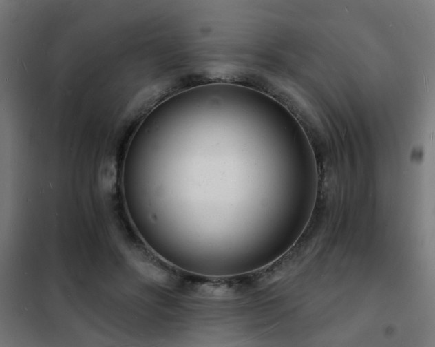 X0000102220502200807251214