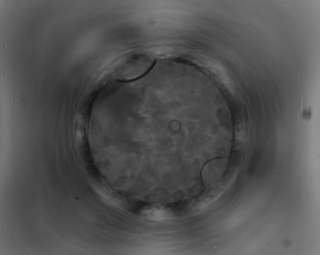 X0000102220503200807251214