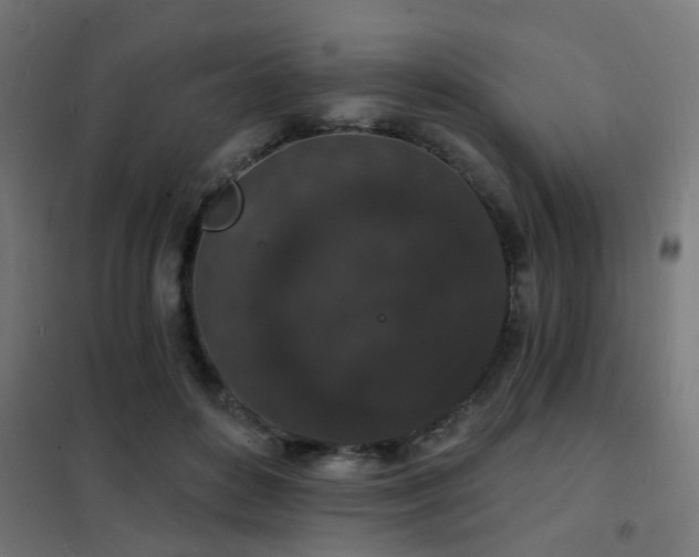 X0000102220504200807251214