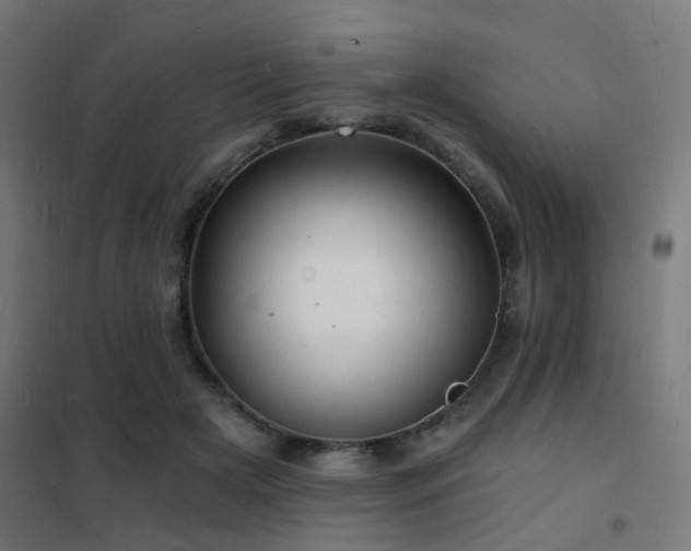 X0000102220505200807251214