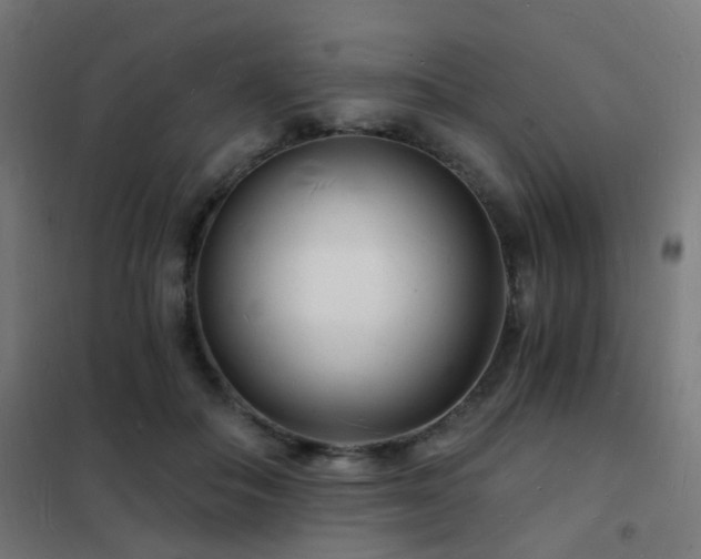 X0000102220506200807251214