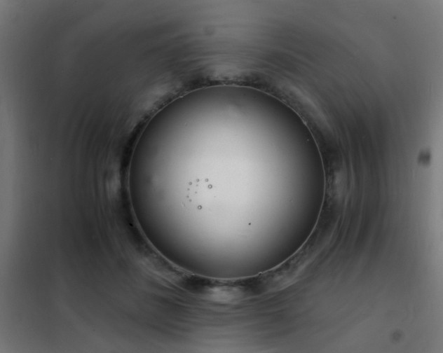 X0000102220508200807251214