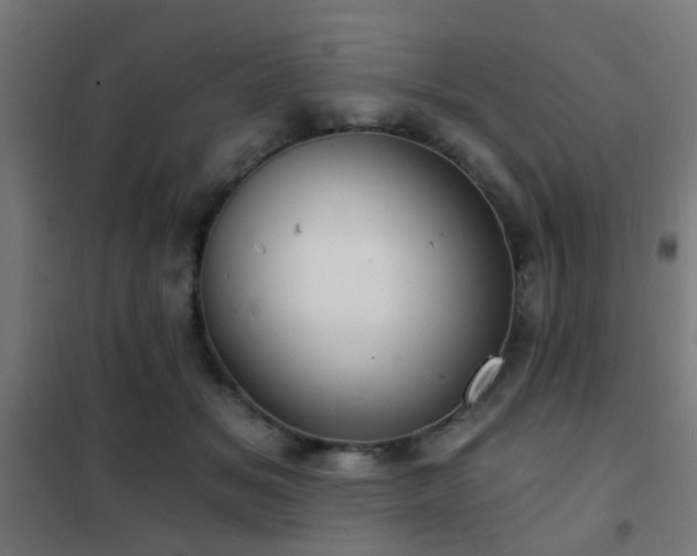 X0000102220509200807251214