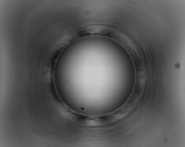 X0000102220510200807251214