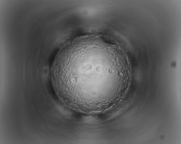 X0000102220511200807251214